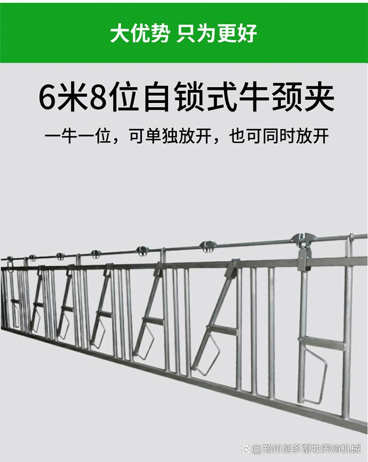 畜牧养殖机械牛颈夹 提升牧场管理效率的关键设备