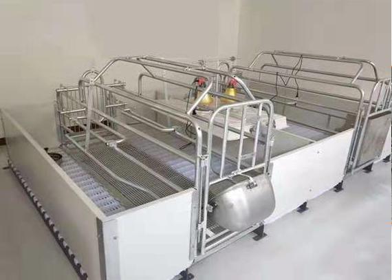 猪场自动化设备全解析 从自动喂料线到固液分离机的选型与作用