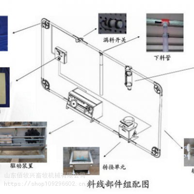 山东佰牧兴 以自动化料线、环控系统与栏体设备赋能现代猪场降本增效